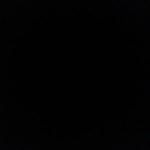 Meet your Posher, Maddox